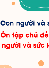 Chủ đề 5 - Ôn tập chủ đề Con người và sức khỏe